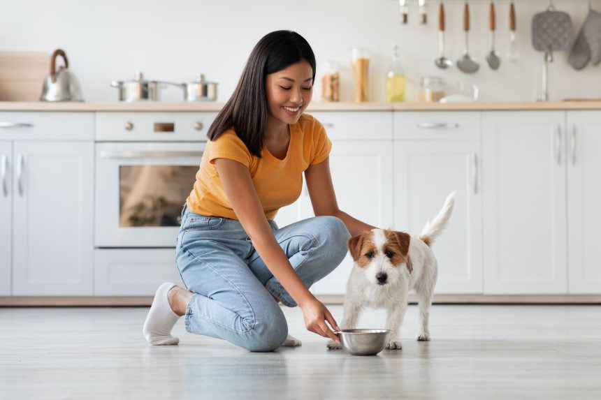 Beautiful asian woman feeding her cute pet