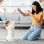 Joyful korean woman training her puppy, giving treats
