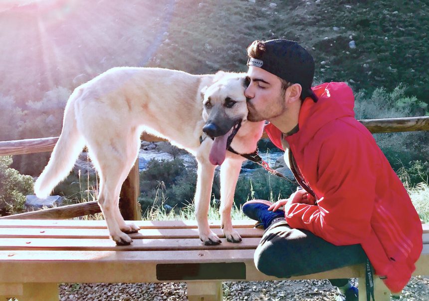 People and their pets in natural light outdoors