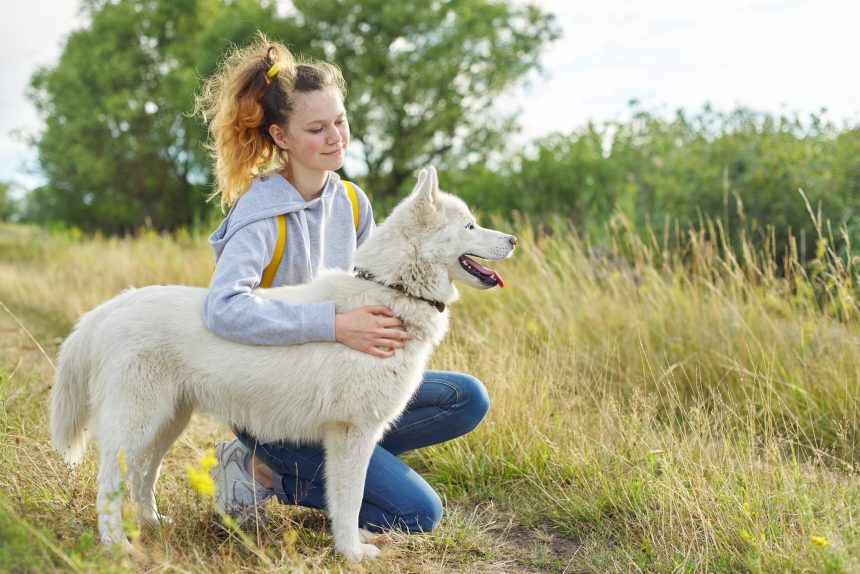 Teenager girl hugging dog, friendship care and love between child and pet